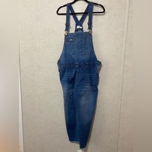 010 Terra & sky overalls size 20w